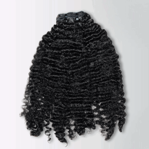 Kinky Curly Human Hair Bundles – Raw Vietnamese Hair by HT Hair Factory