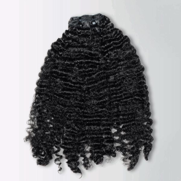 Kinky Curly Human Hair Bundles – Raw Vietnamese Hair by HT Hair Factory