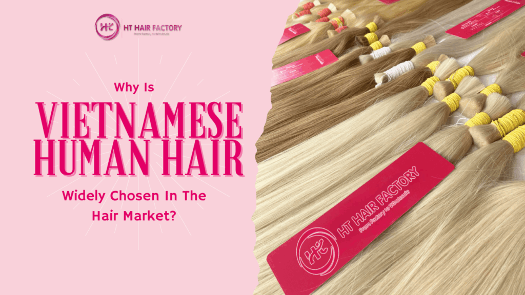 Why Is Vietnamese Human Hair Widely Chosen In The Hair Market?