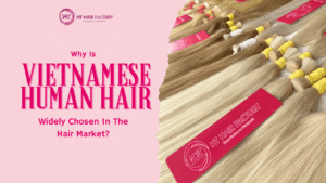 Why Is Vietnamese Human Hair Widely Chosen In The Hair Market?