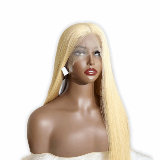Human Hair Wig