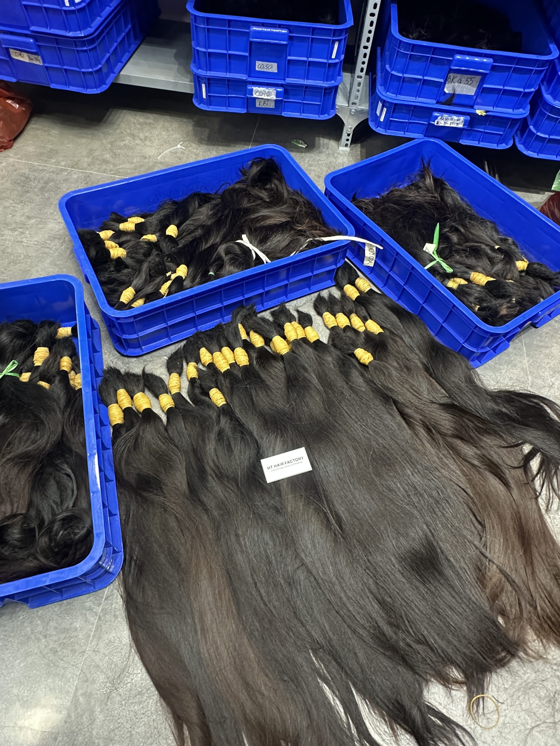 The Importance of High Quality Raw Hair Before Coloring