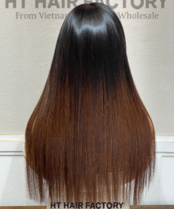 Bone Straight 13x6 Lace Frontal Wigs Black Roots Ombre Brown Color 20 inches